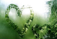 nba总决赛步行者vs雷霆g7-开云电竞官网